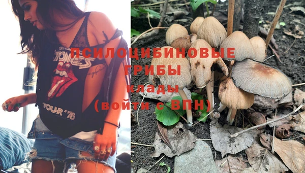ешки Балахна
