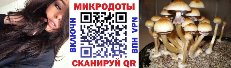 Псилоцибиновые грибы прущие грибы Балабаново