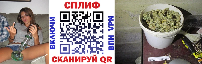 Шишки марихуана индика  продажа наркотиков  Балабаново 